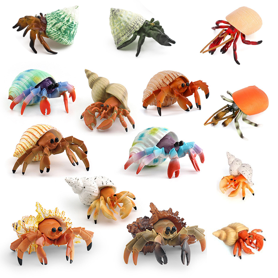Realistyczna figurka kraba pus – Kids Education Picture recenzja i cena